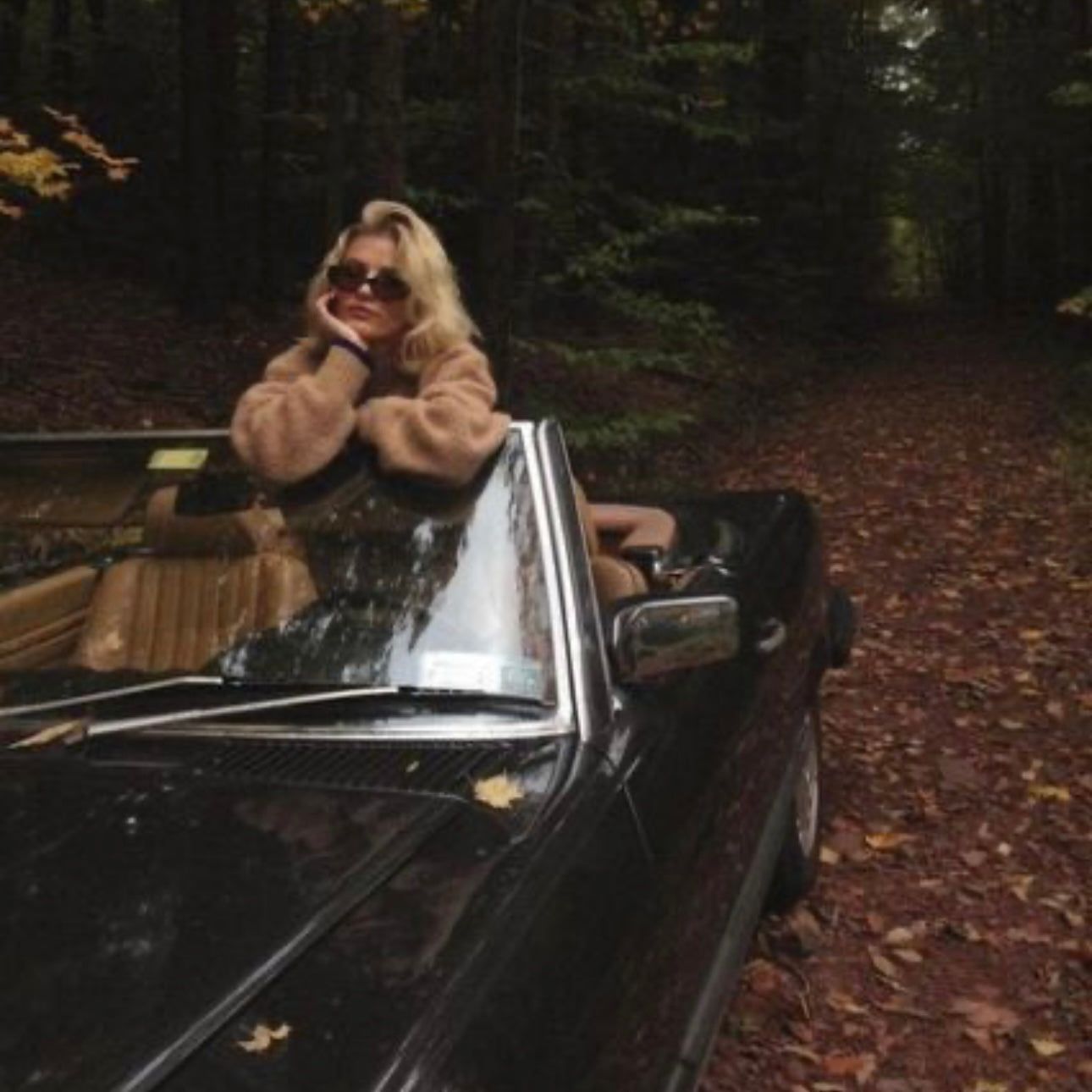 Chute de cheveux en automne : mythe ou réalité ? 🍁