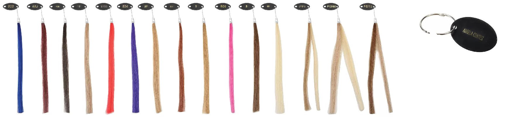 Mèche Ag-Ct Nuancier Remyhair 16 Colors