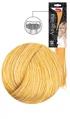 Mèche Ag-Ct Remyhair 3 Clip 8.30-808 15X45Cmx1