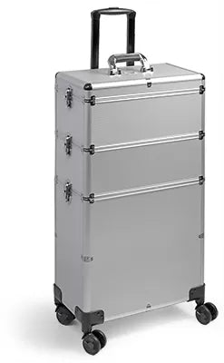 Valise GM ALISHYP-4 SILVER 43 25 83 CM