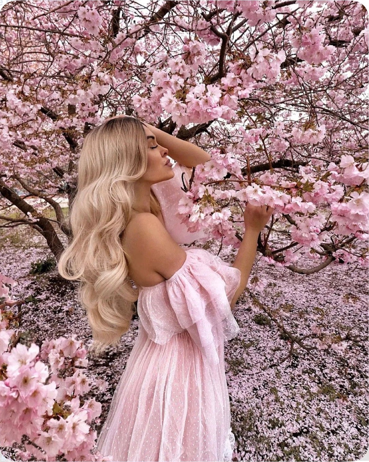 Routine capillaire idéale pour le printemps 🌸