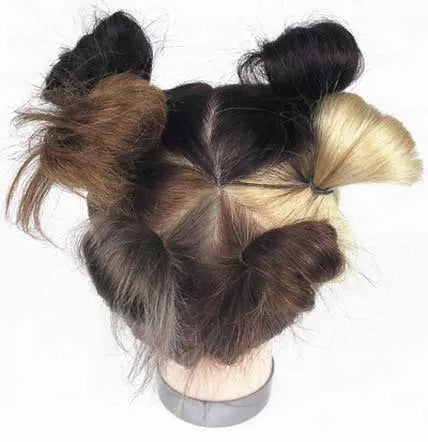 Tête Cinkol 20-25 Cms Teinture 5 Colors
