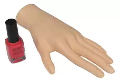 Fixed Model Training Hand - IB