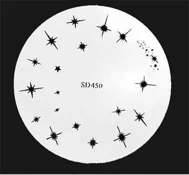 Painted Stencil Fake Nails Sd450 - IB